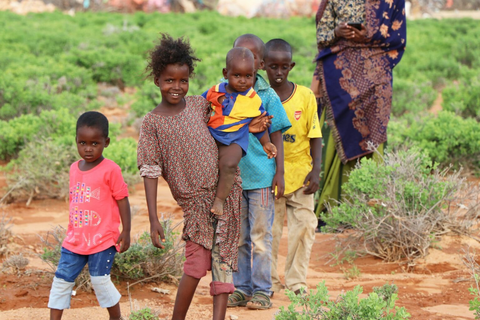 Why Is the Poverty Rate High in Somalia and What is the Solution to Reduce It?
