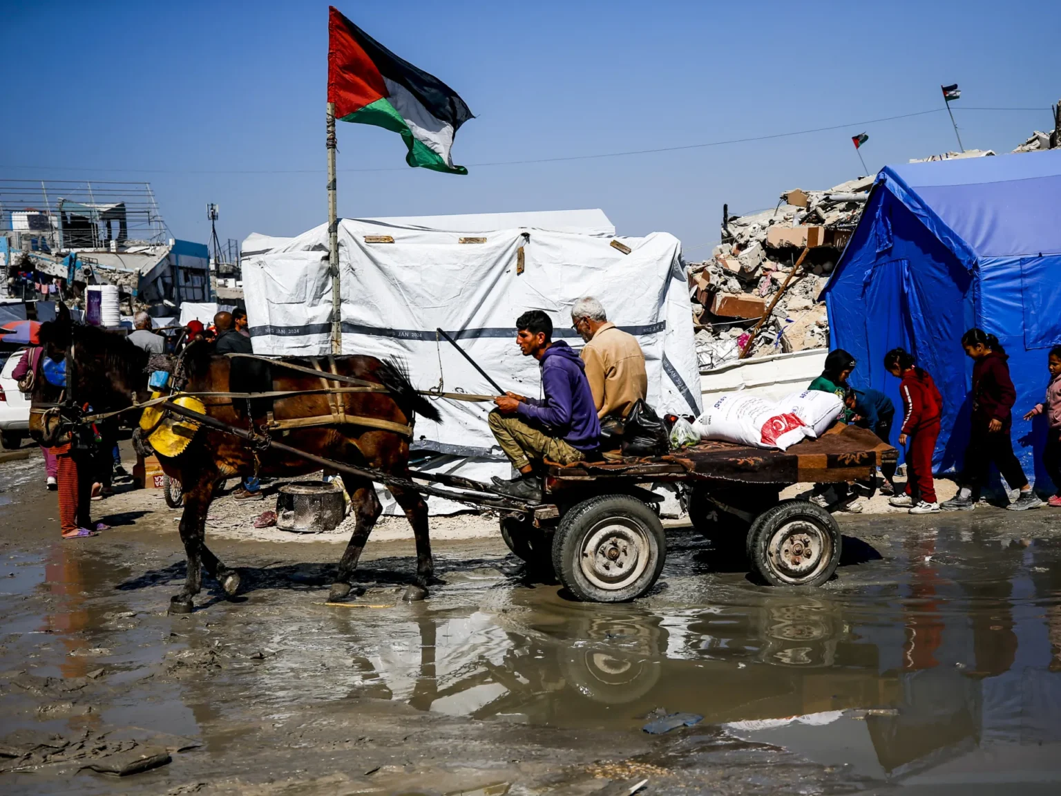 Somalia and Somaliland Deny Talks on Resettling Palestinians from Gaza Somalia and Somaliland Deny Talks on Resettling Palestinians from Gaza