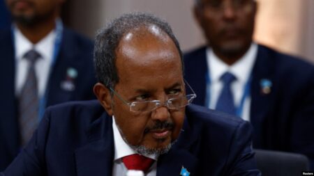 Somalia’s president rejects US terror alerts as ‘fake.’