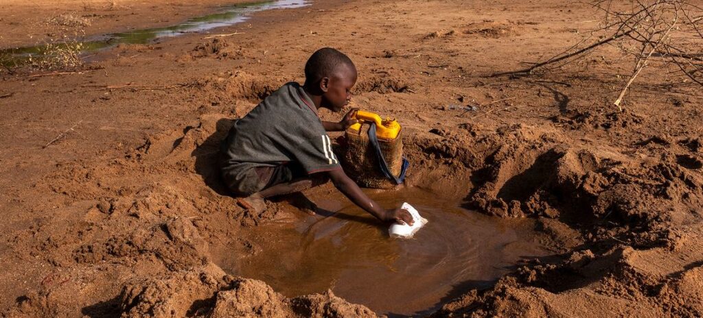 Potential Hunger Crisis Threatens an Additional One Million People in Somalia, Warns WFP