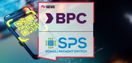 Somali Instant Payment System
