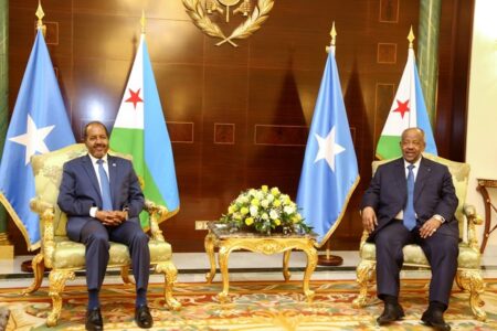 Somalia, Djibouti Discuss Boosting Economic Ties
