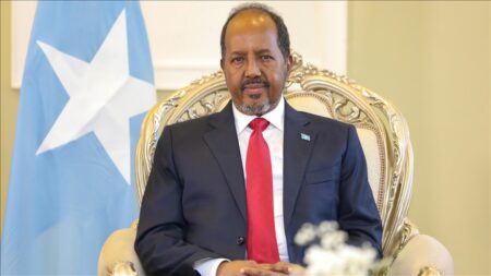 Concerns Due to Power Centralization in Somalia - May 2025