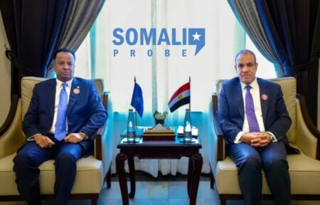 Egypt and Somalia Ties Evolved into a Strategic Partnership