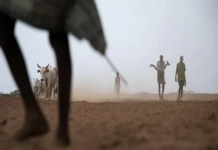 How Food Insecurity Deepens Extremism and Violence in Africa How Food Insecurity Fuels Extremism and Violence in Africa