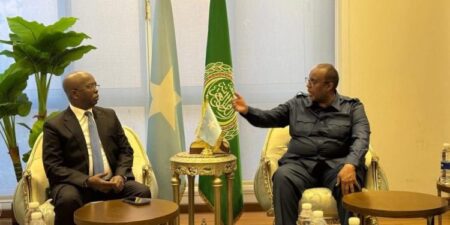 Somali Embassy in Cairo Welcomes Mogadishu Mayor