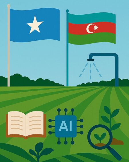 Somalia-Azerbaijan New Cooperation 2025