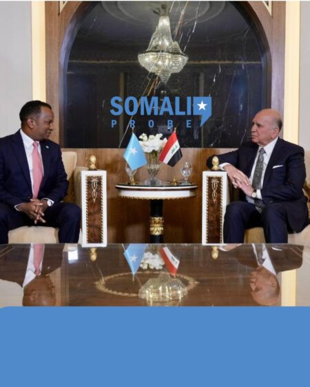 Somalia and Iraq Strengthen Diplomatic Ties