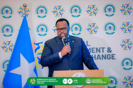 About Somalia National Environment and Climate Change Summit 2025
