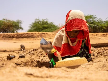 12 Million People Affected by Kenya and Somalia Droughts - Will the New Entitative End This Misery?