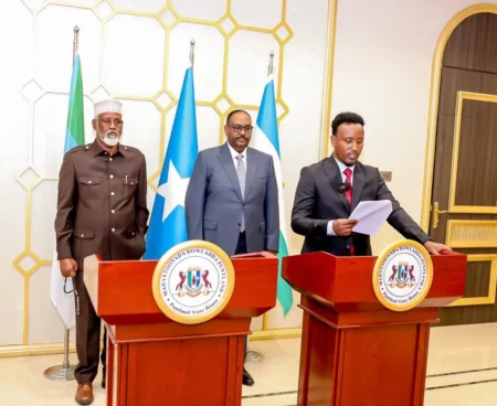 Puntland and Jubbaland Stick to 2012 Constitution and Reject Changes