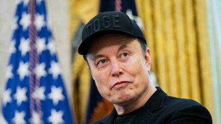 Elon Musk Launches the America Party: A Bold Challenge to the U.S. Political Norms