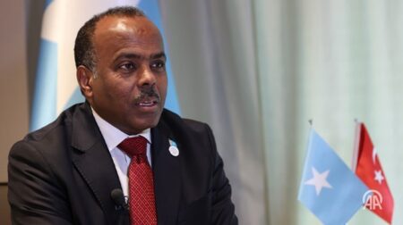 Federal Government of Somalia Rejects Claims of Qatari Mediation and Other Media Reports