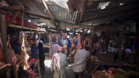 Inspiring Stories: Somali IDPs Turn to Small Businesses After Humanitarian Aid Cuts