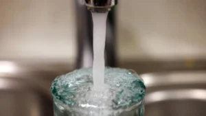 Is Rising Level of Nitrate in Water Dangerous and How Companies Are Dealing with It?