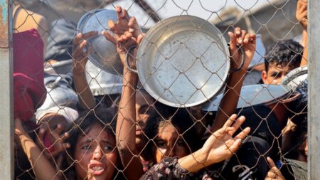 Over 100 NGOs Warn of Unprecedented Humanitarian Crisis in Gaza