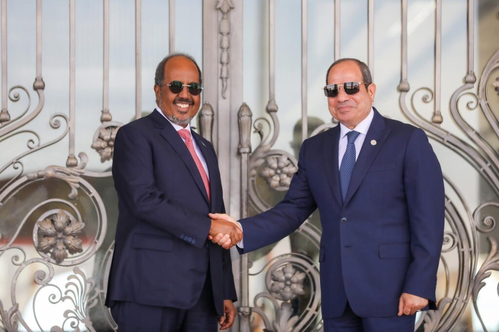 Egypt, Somali President Hassan Sheikh Mohamud and Egyptian President Abdel Fattah El-Sisi discussed deepening military and political cooperation
