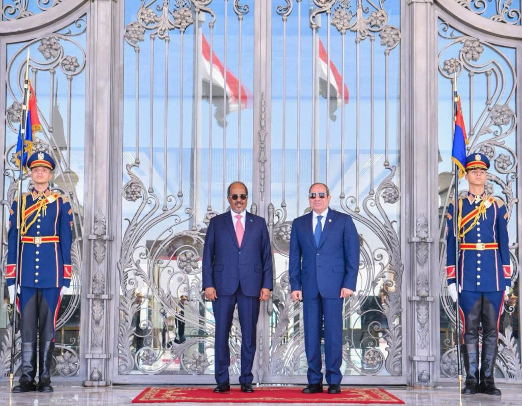 Egypt, Somali President Hassan Sheikh Mohamud and Egyptian President Abdel Fattah El-Sisi discussed deepening military and political cooperation