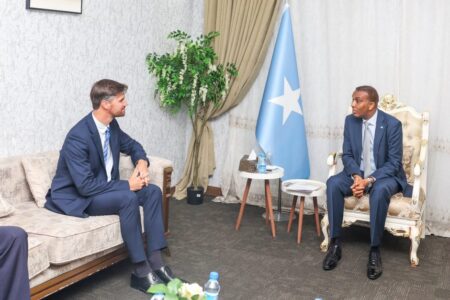 Somalia and the United Kingdom Open New Horizons of Cooperation