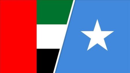 Somalia–UAE Relations: A Strategic Alliance Shaping the Horn of Africa’s Future