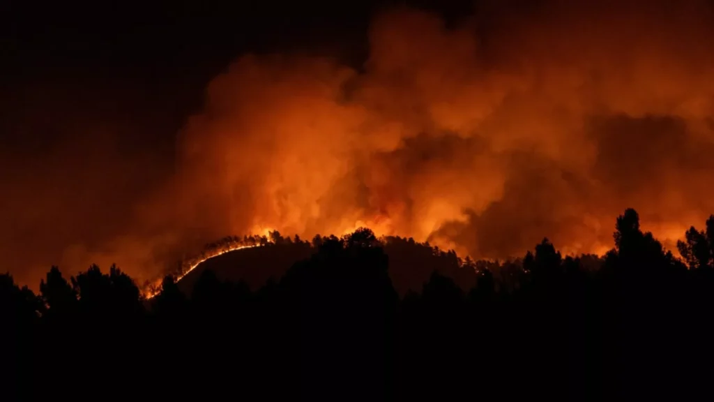 Video: Mentrida Massive Wildfire Destroys Over 3,200 Hectares Near Madrid