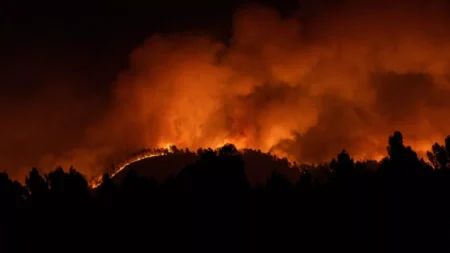 Video: Mentrida Massive Wildfire Destroys Over 3,200 Hectares Near Madrid