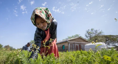 Green Growth: Empowering Youth in East Africa for a Sustainable Future