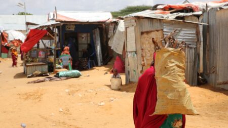 How Somali Women Farmers Turn Hardship Into New Opportunities?