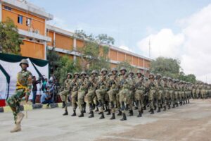 How the UAE's Counterterrorism Efforts Undermine the Danger of Jihadism in Somalia