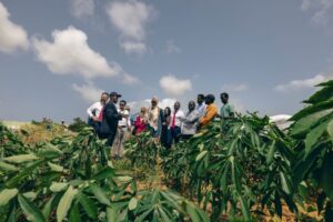 International Organization for Migration Warns from Somalia's Deepening Displacement Crisis