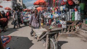 New Youth Unemployment Legalizations to Empower 70% of Somali Youth