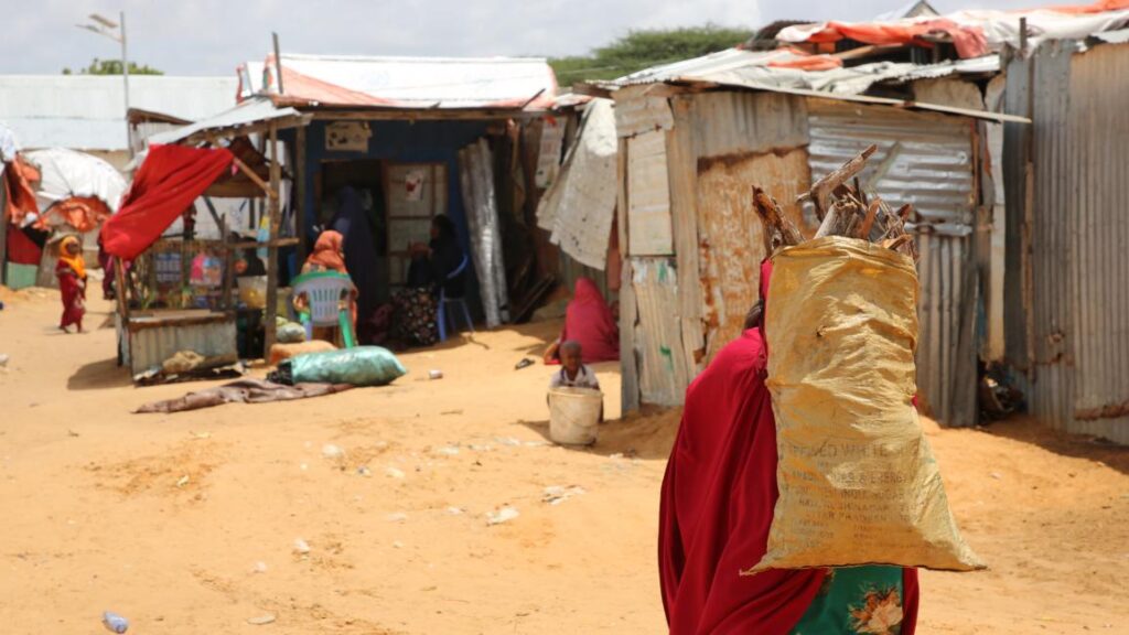 Severe Drought and Funding Cuts Worsen Somalia’s Food Crisis in 2025
