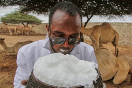 Somalia Camel Milk Revolution: From Desert Tradition to Urban Superfood