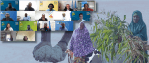 Africa Drylands Benefit from Somalia and Mali in Building Their New Resilient Action