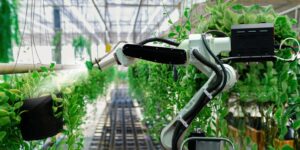 Check the 7 Main Types of AI that You Should Learn About