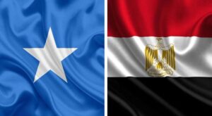 How Can Egypt Strategic Partnership with Somalia Back Its Security and Stability in the Next 10 Years