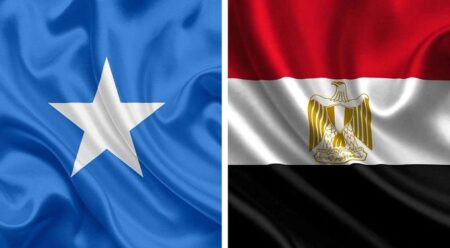 How Can Egypt Strategic Partnership with Somalia Back Its Security and Stability in the Next 10 Years