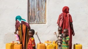 Somali Diaspora Humanitarian Action: Supporting Communities in Crisis