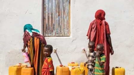 Somali Diaspora Humanitarian Action: Supporting Communities in Crisis