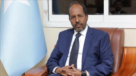 Somali President Calls for Urgent Action at UNGA 80 to Stop Violence in Palestine