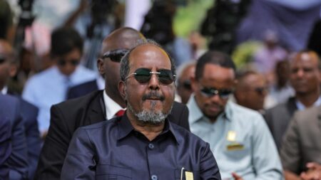 Somali President Hassan Sheikh Mohamud Attendance of GERD Sparks Wide Debate