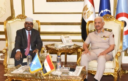 Somalia and Egypt Military Cooperation Boosts Regional Stability and Security