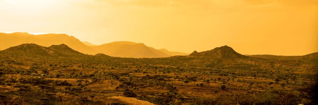 7 Important Facts About Somali Identity Resilience