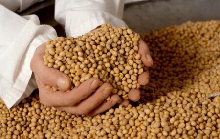 China Stops US Soybean Imports for the First Time Since 2018 - A New Chapter in Cold War
