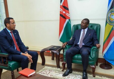 Kenya and Somalia Strong Ties Boost Peace and Stability in the Horn of Africa