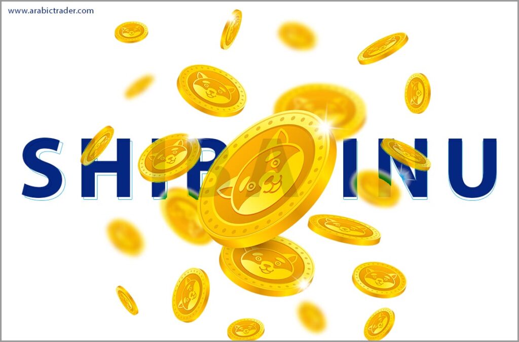 Shiba Inu Meme Coin - Discover the Top 10 FAQ