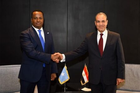 Somali Foreign Minister Meets His Egyptian Counterpart at 5th Aswan Forum