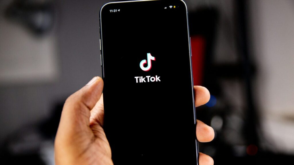 Somali Identity on TikTok: Why Clan Battles Dominate the Platform