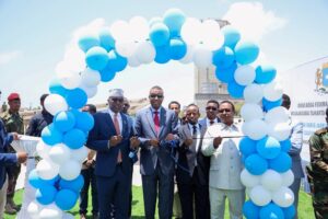 Somalia's Free Electricity Project Supports 150 Health Centers: A New Change in the Horn of Africa