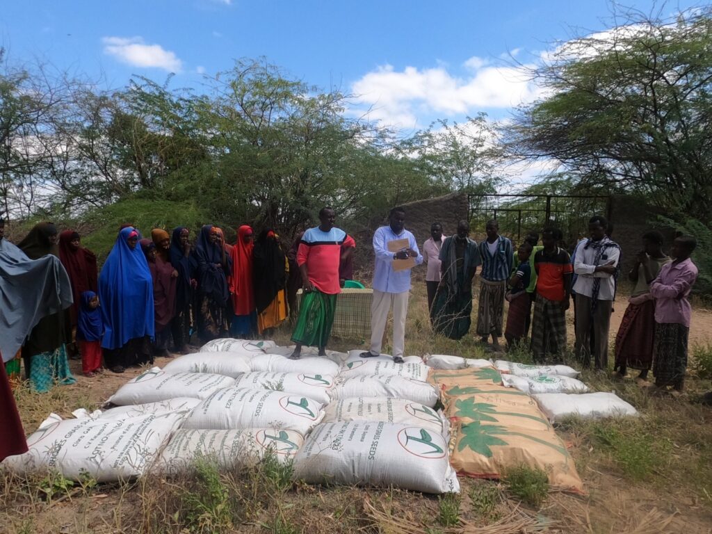 FODDER DEVELOPMENT IN SOMALIA FODDER DEVELOPMENT IN SOMALIA